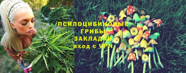 стаф Абинск