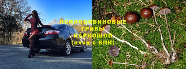 стаф Абинск