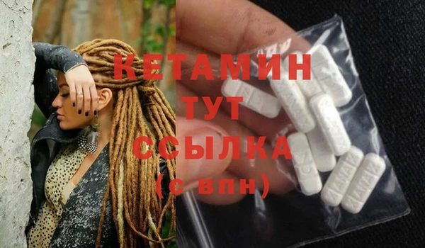 стаф Абинск
