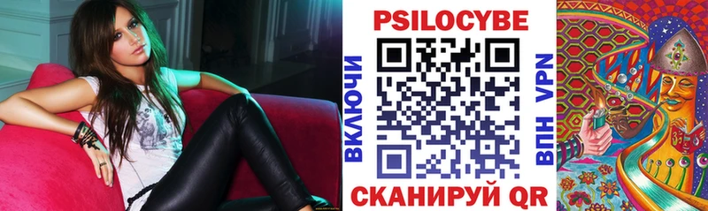 как найти   мега tor  Галлюциногенные грибы мицелий  Краснодар 